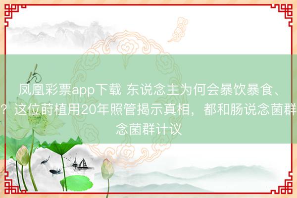 凤凰彩票app下载 东说念主为何会暴饮暴食、发胖?这位莳植用20年照管揭示真相,都和肠说念菌群计议