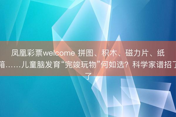 凤凰彩票welcome 拼图、积木、磁力片、纸箱……儿童脑发育“完竣玩物”何如选？科学家谱招了