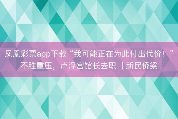 凤凰彩票app下载 “我可能正在为此付出代价！”不胜重压，卢浮宫馆长去职  | 新民侨梁