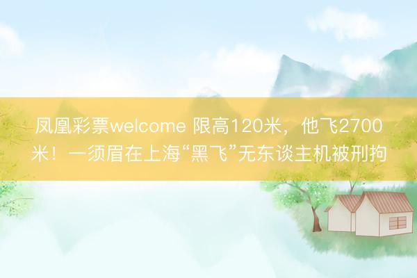 凤凰彩票welcome 限高120米，他飞2700米！一须眉在上海“黑飞”无东谈主机被刑拘