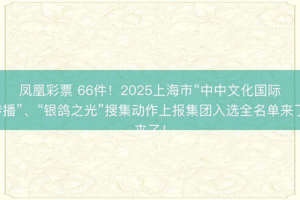 凤凰彩票 66件！2025上海市“中中文化国际传播”、“银鸽之光”搜集动作上报集团入选全名单来了！