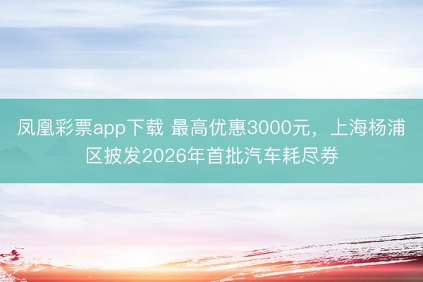 凤凰彩票app下载 最高优惠3000元,上海杨浦区披发2026年首批汽车耗尽券