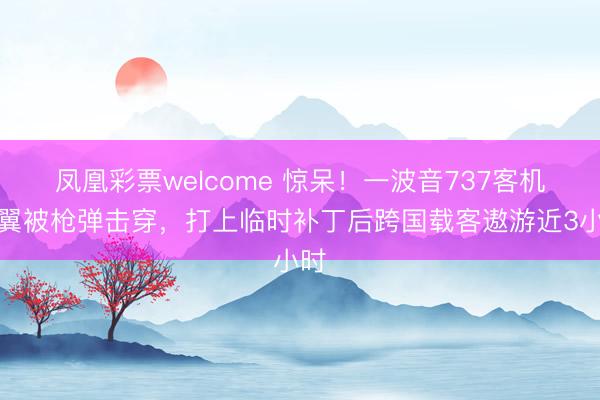 凤凰彩票welcome 惊呆！一波音737客机机翼被枪弹击穿，打上临时补丁后跨国载客遨游近3小时