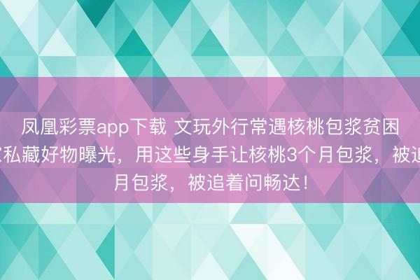 凤凰彩票app下载 文玩外行常遇核桃包浆贫困？群众玩家私藏好物曝光，用这些身手让核桃3个月包浆，被追着问畅达！