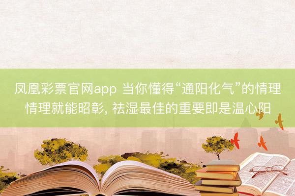 凤凰彩票官网app 当你懂得“通阳化气”的情理情理就能昭彰， 祛湿最佳的重要即是温心阳